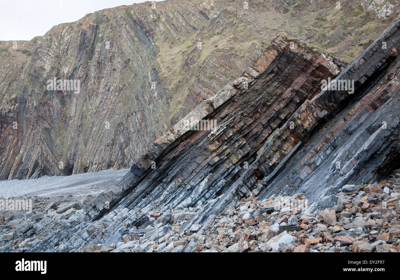 Complex folding of sedimentary rock strata in coastal cliffs at