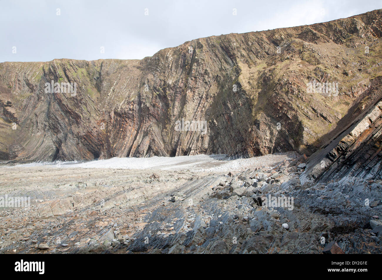Complex folding of sedimentary rock strata in coastal cliffs at Hartland Quay, north Devon, England Stock Photo