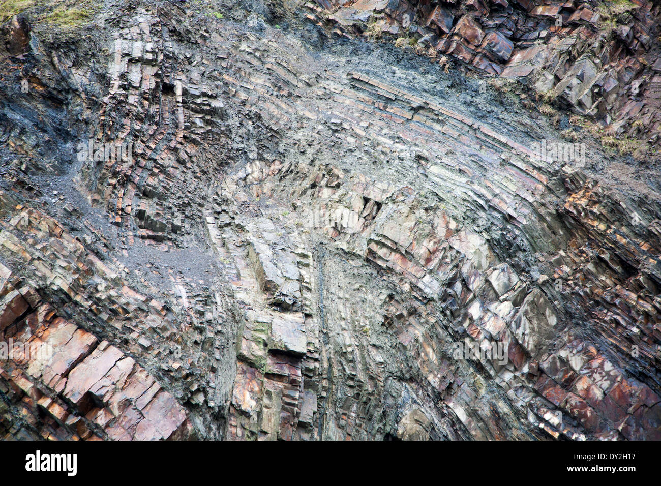 Complex folding of sedimentary rock strata in coastal cliffs at