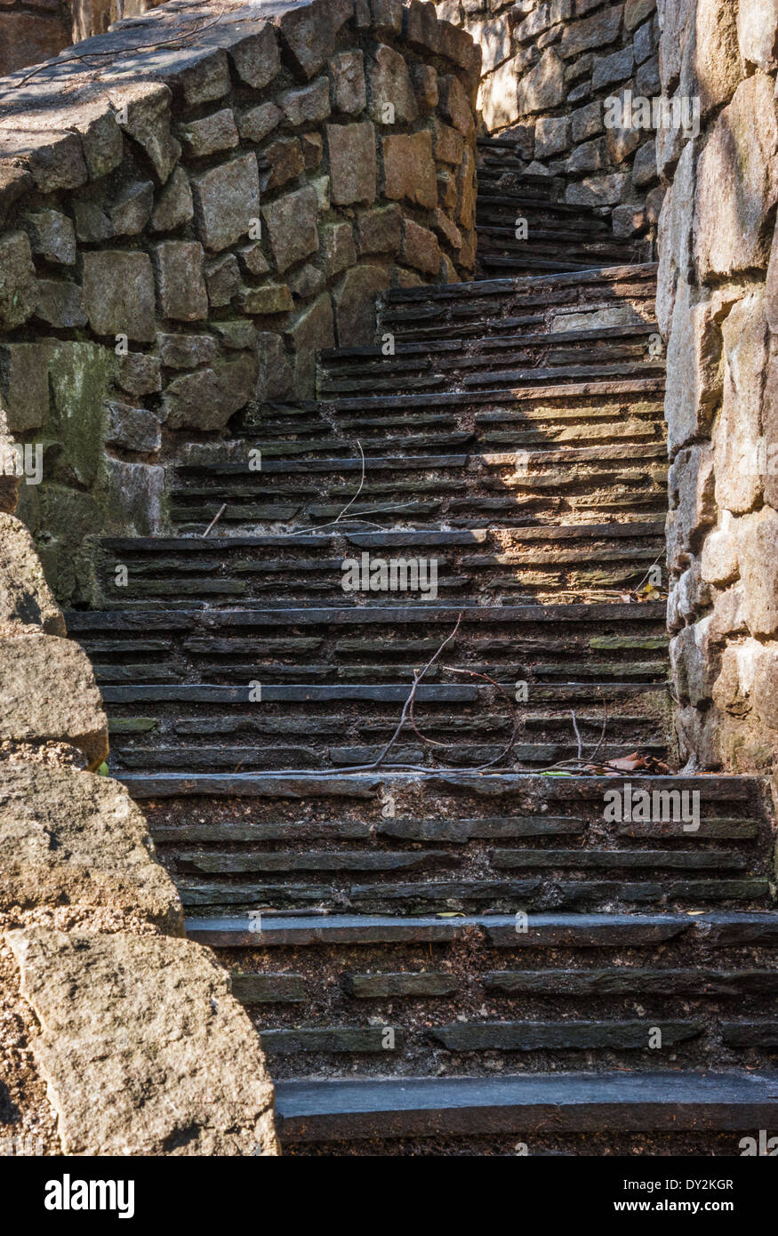 Old stone steps winding upward in the dappled sunlight of early morning. Stock Photo
