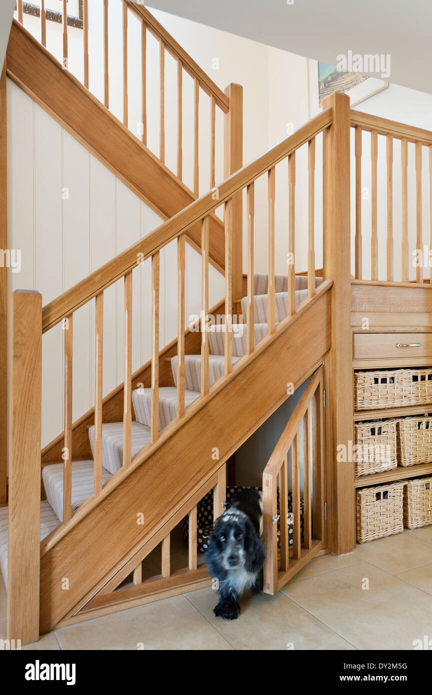 Oak staircase with kennel underneath for a dog Stock Photo Alamy