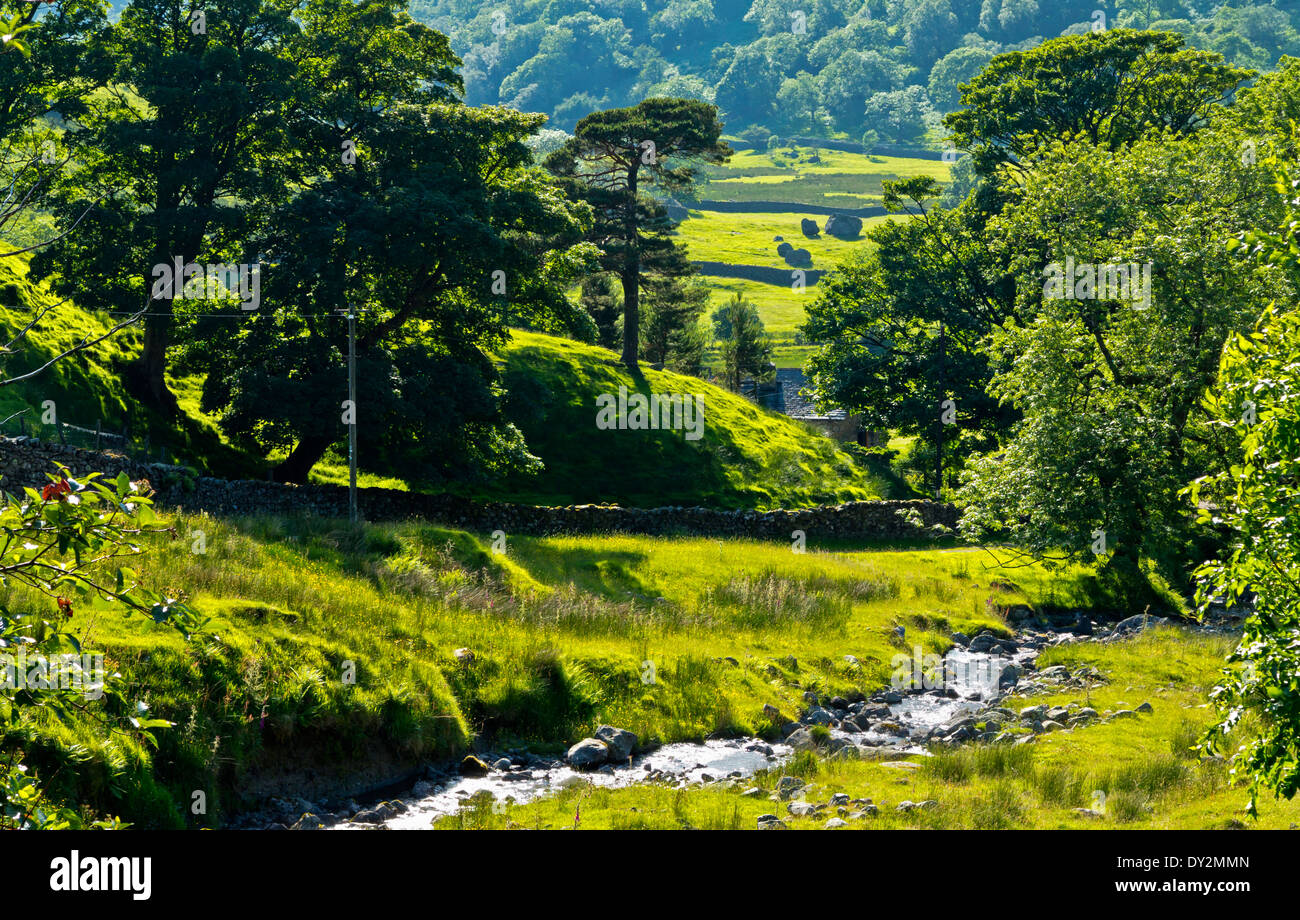 Upland summer landscape at Caudale Beck on Kirkstone Pass in the Lake District National Park in Cumbria England UK Stock Photo