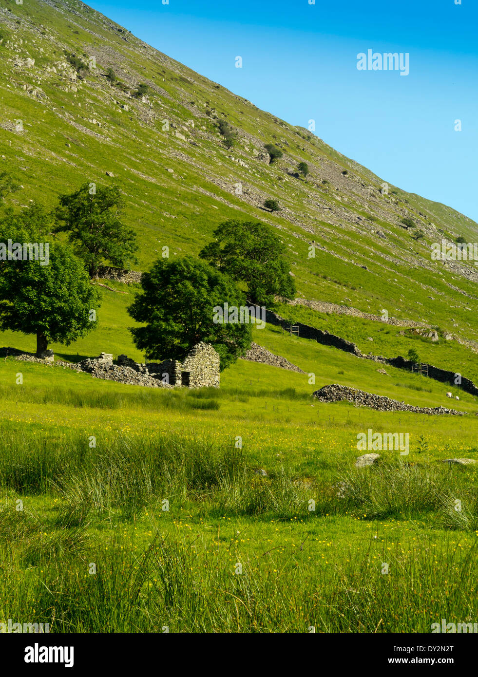 Upland summer landscape near Caudale Beck on Kirkstone Pass in the Lake District National Park in Cumbria England UK Stock Photo