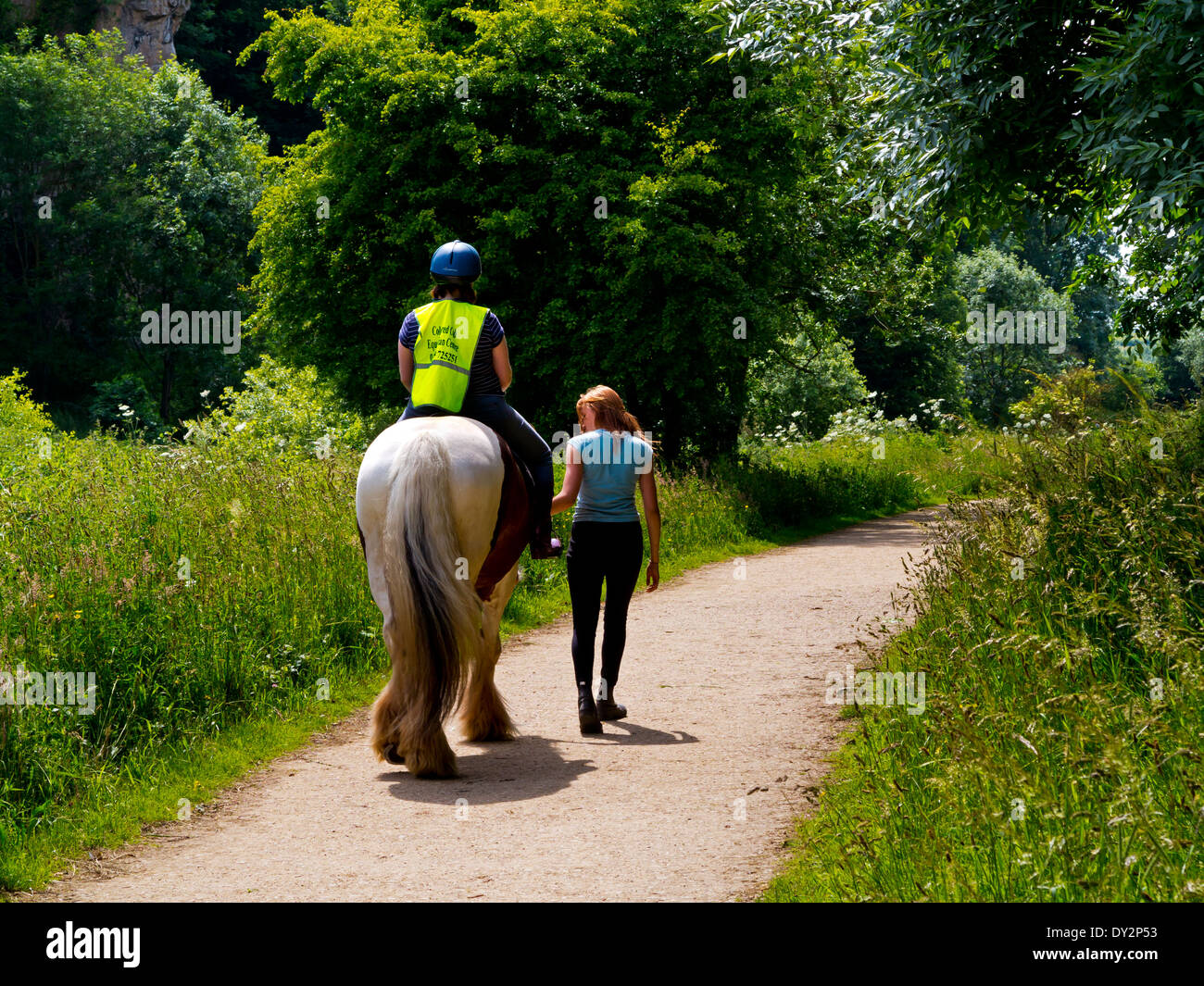Shire horse ride hires stock photography and images Alamy
