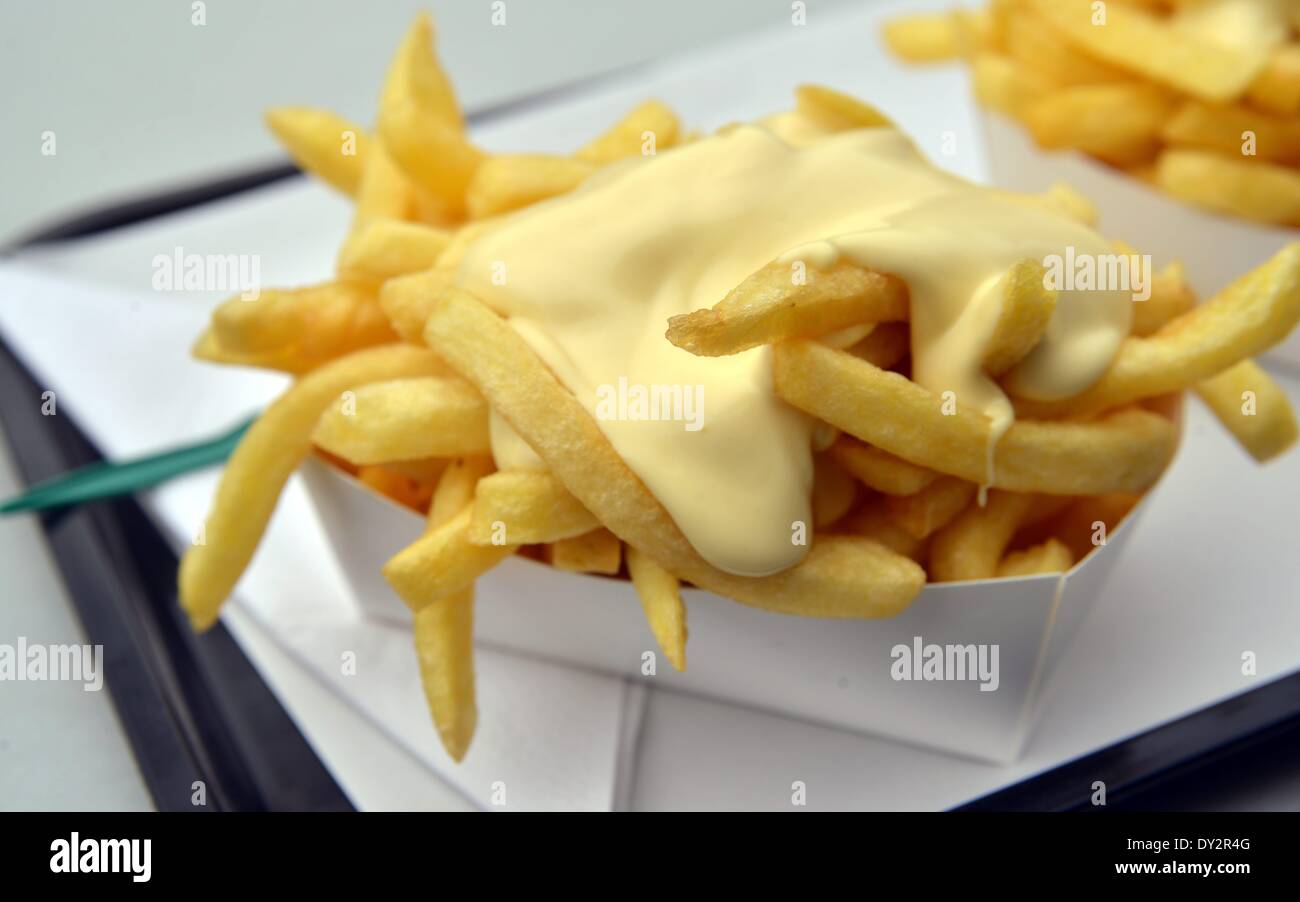 A small bowl with french fries and mayonnaise. August 2013 Stock Photo