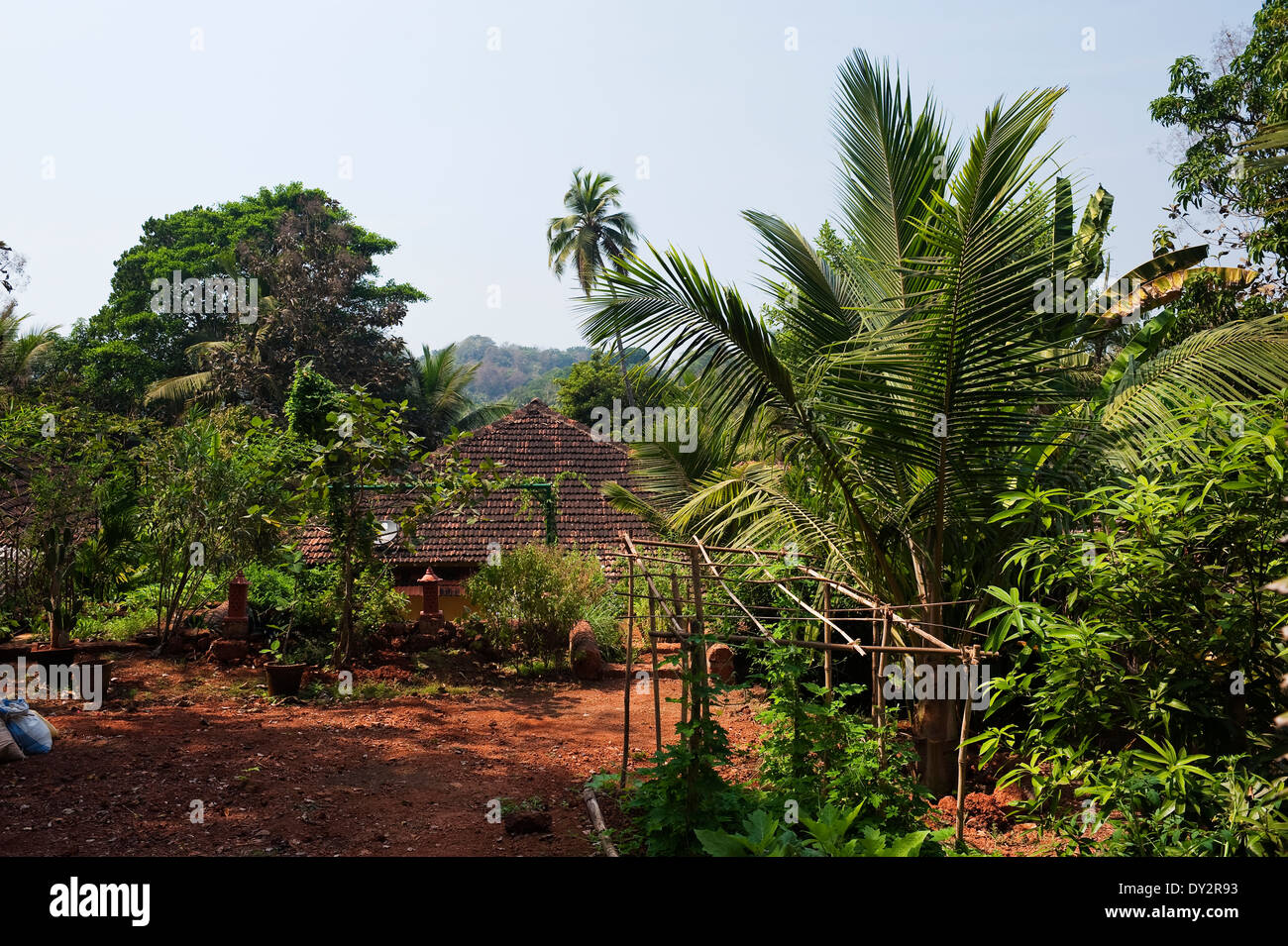 Roof tiles of Goan home and climbing frame for plants Stock Photo