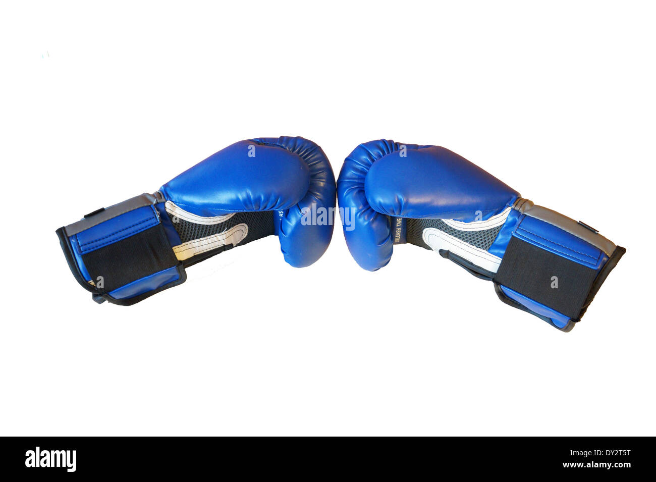 Blue boxing gloves Stock Photo