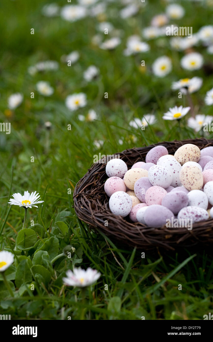 Mini Easter eggs in a basket on the lawn. Stock Photo