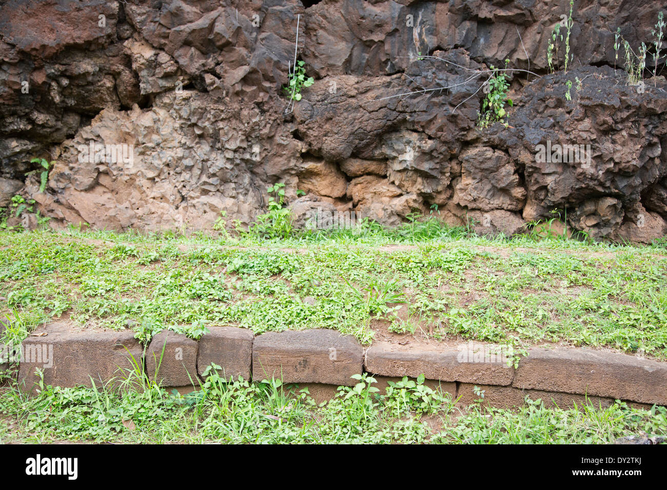 Menehune ditch wall, an ancient irrigation system built of basalt