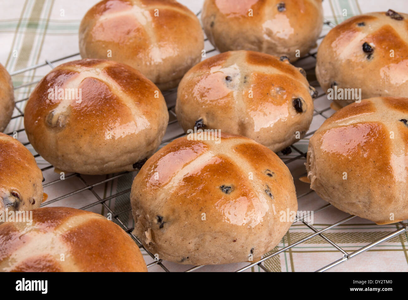 hot cross buns/easter buns on a wire cooling rack ( 14of a series of 24 ) Stock Photo