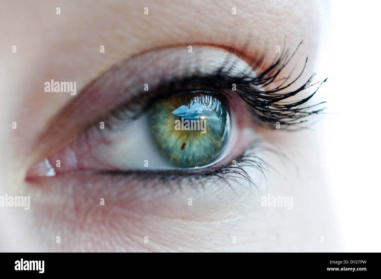 Beautiful eye color hi-res stock photography and images - Alamy