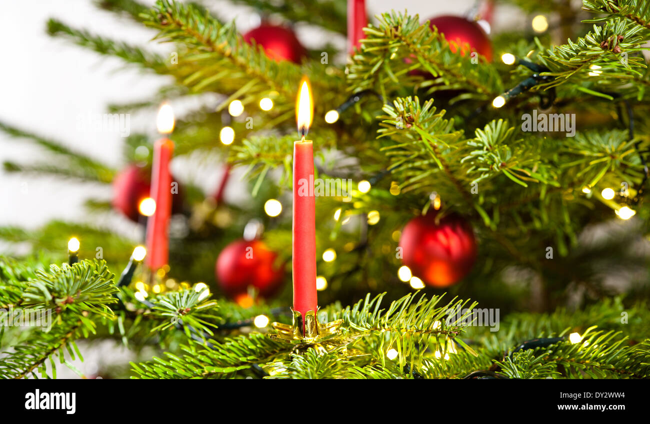 red candle in christmas tree over bright background Stock Photo
