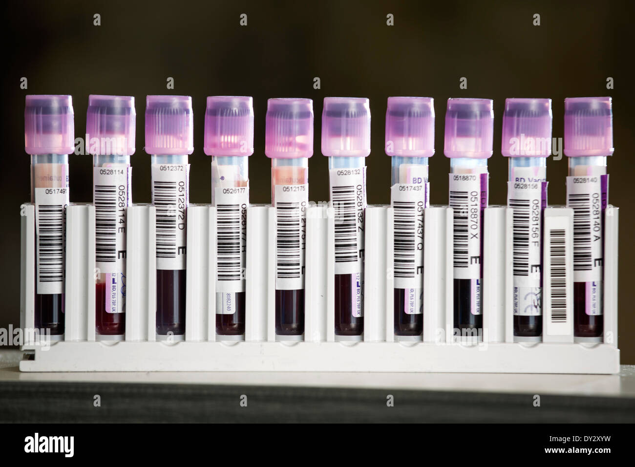 Vacutainer blood tube hires stock photography and images Alamy