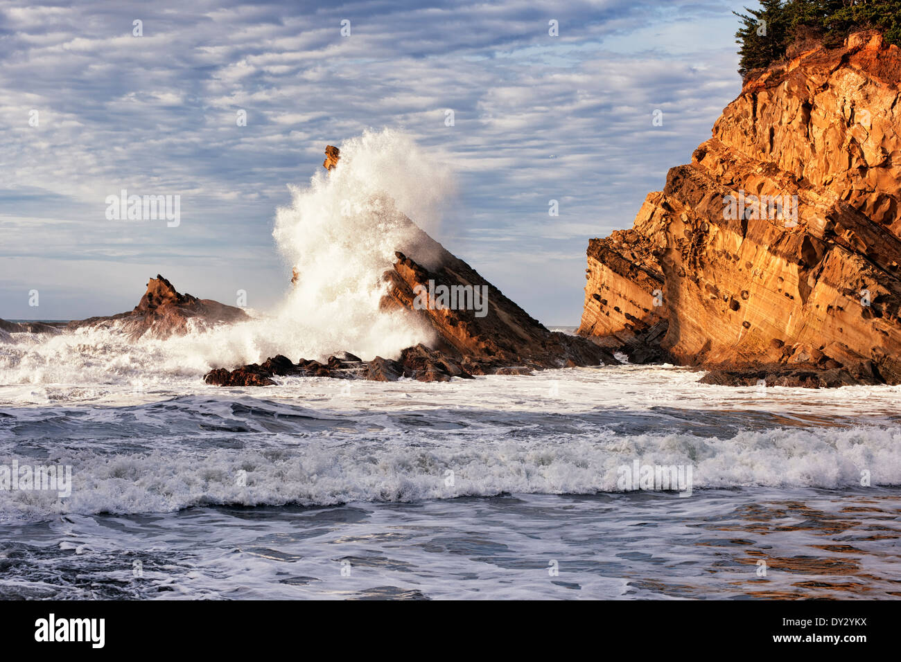 Evening waves explode against the sandstone cliffs at Oregon’s Shore Acres State Park from Simpson Beach. Stock Photo