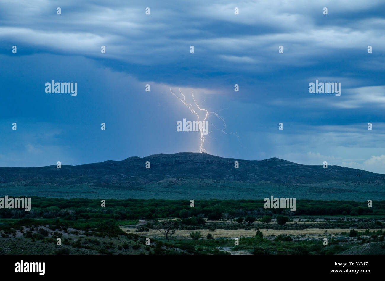Bosque del apache hi-res stock photography and images - Alamy