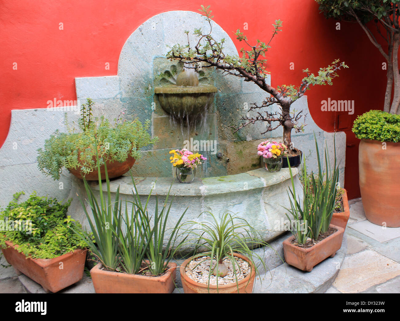 Beautiful Mexican fountain with plants, Oaxaca, Mexico Stock Photo - Alamy