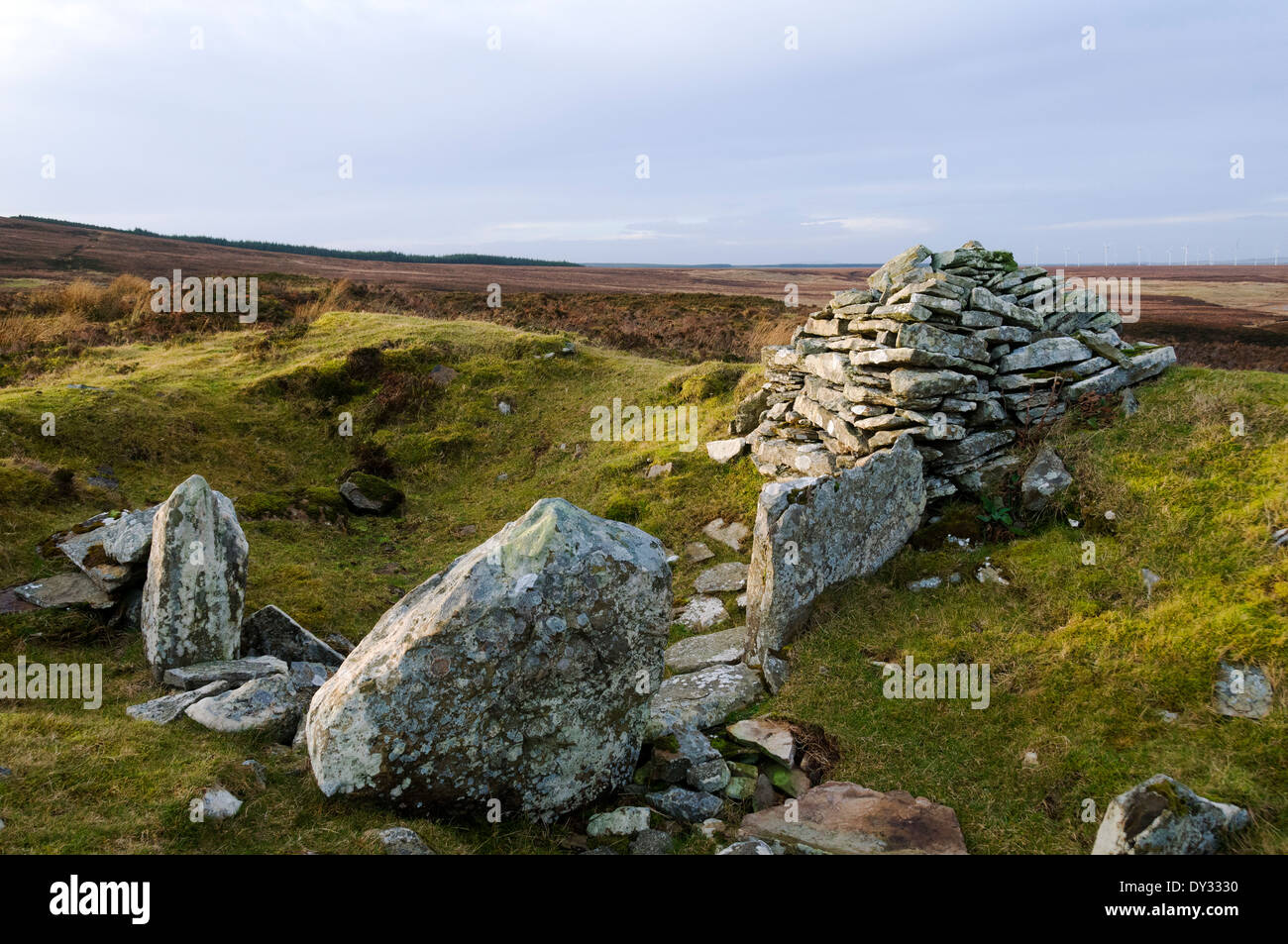 Remains of a prehistoric Long Cairn on the Yarrows Archeology Trail, Caithness, Scotland, UK Stock Photo