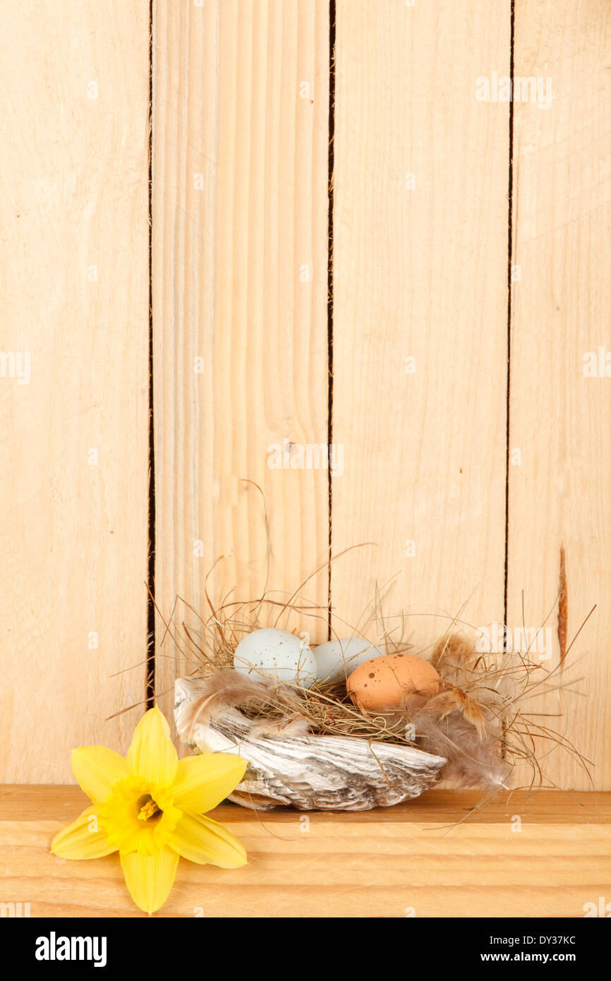 Easter basket from a shell with Easter eggs Stock Photo