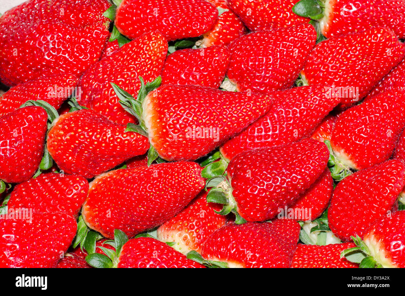Strawberries full frame hi-res stock photography and images - Alamy