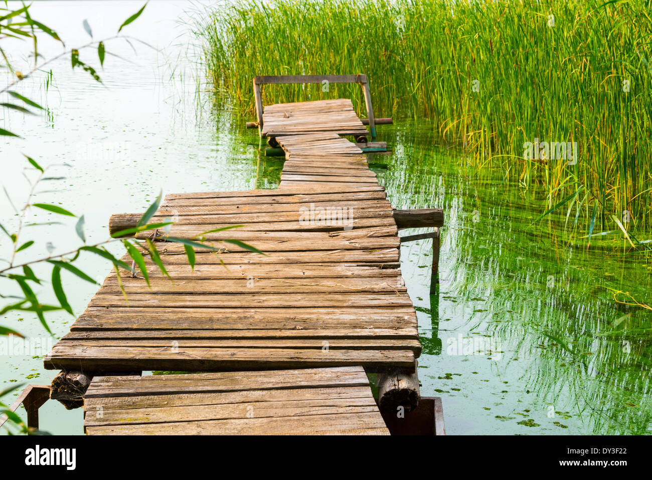 Cane bridge hi-res stock photography and images - Alamy