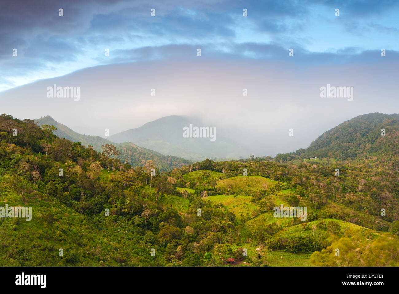 Farmlands and forested hillsides between the villages Rio Sereno and Volcan in the Chiriqui province, Republic of Panama. Stock Photo