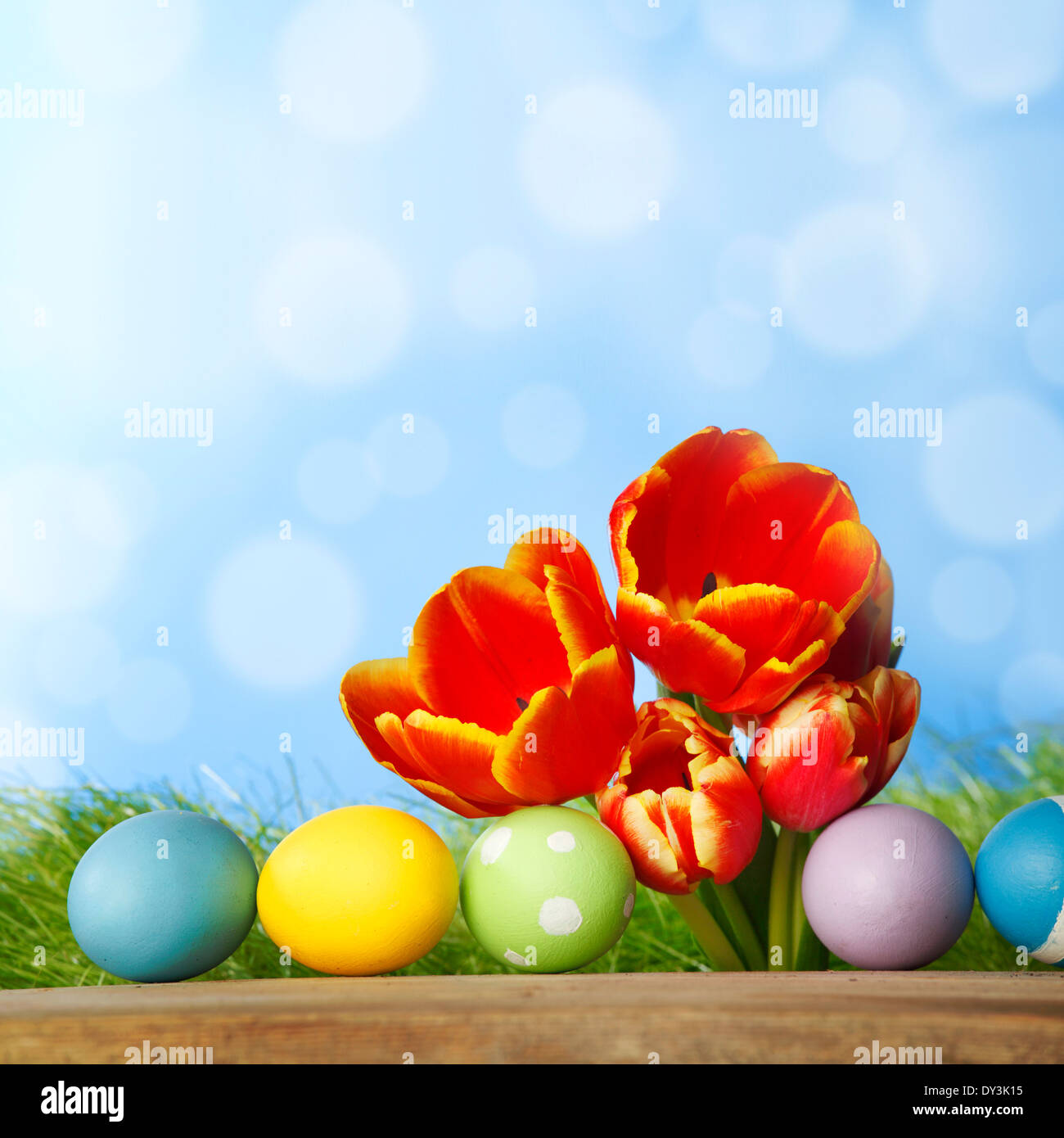 Tulips and easter eggs over green grass and blue sky background Stock ...