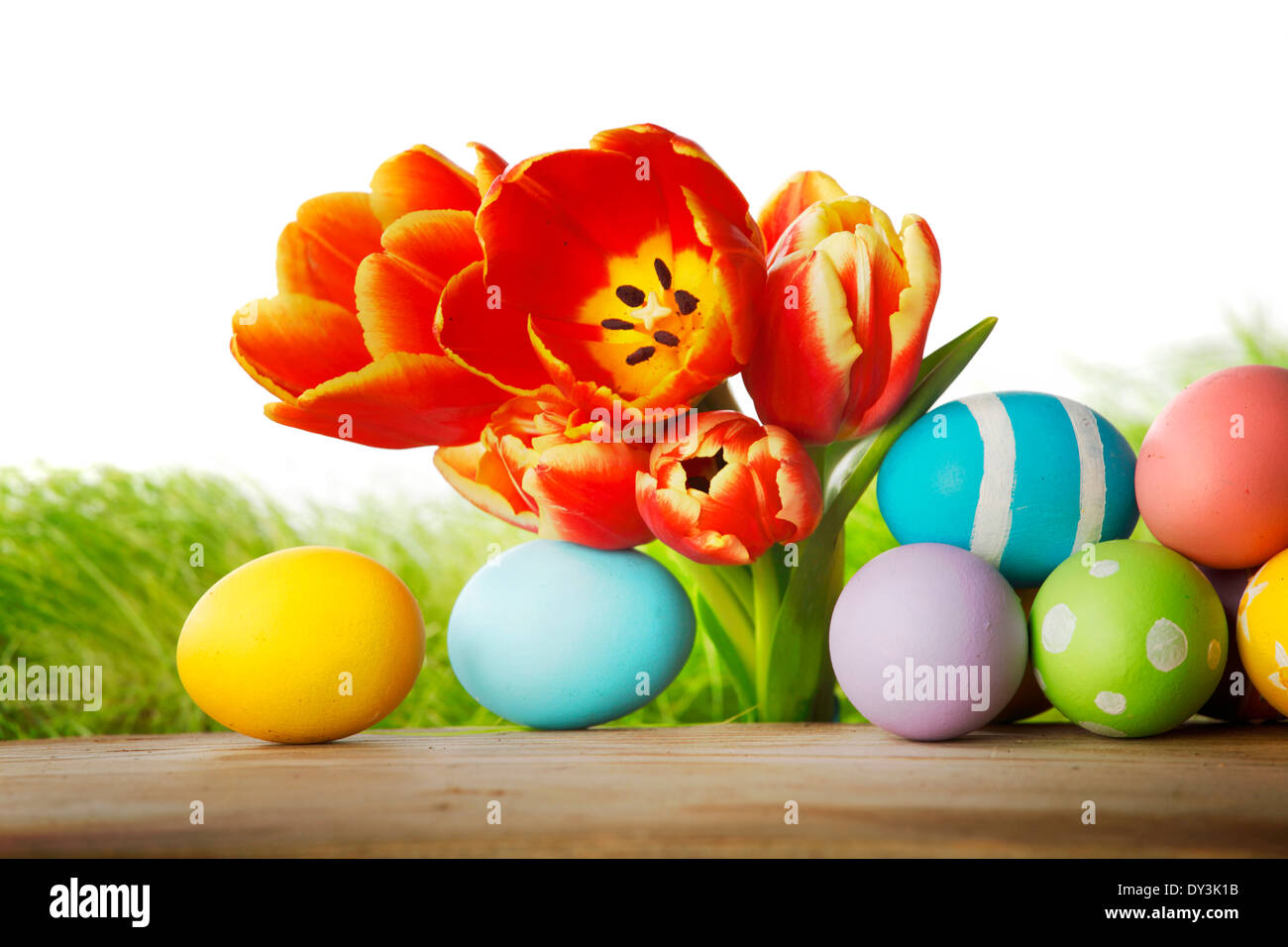 Tulips and easter eggs isolated on white background Stock Photo - Alamy