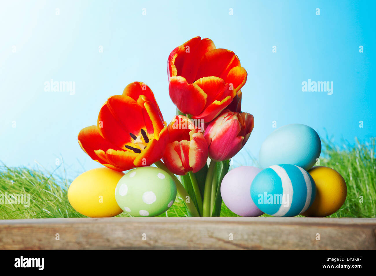 Easter decoration with tulips and colored eggs Stock Photo - Alamy