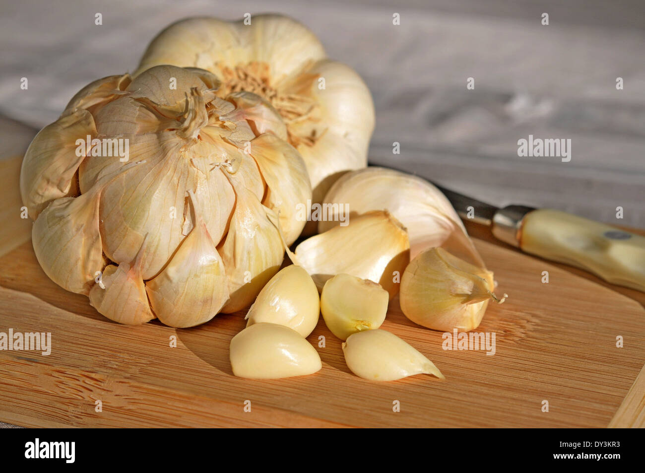 Fresh Garlic Head and Cloves not Peeled and Cloves Peeled in Natural