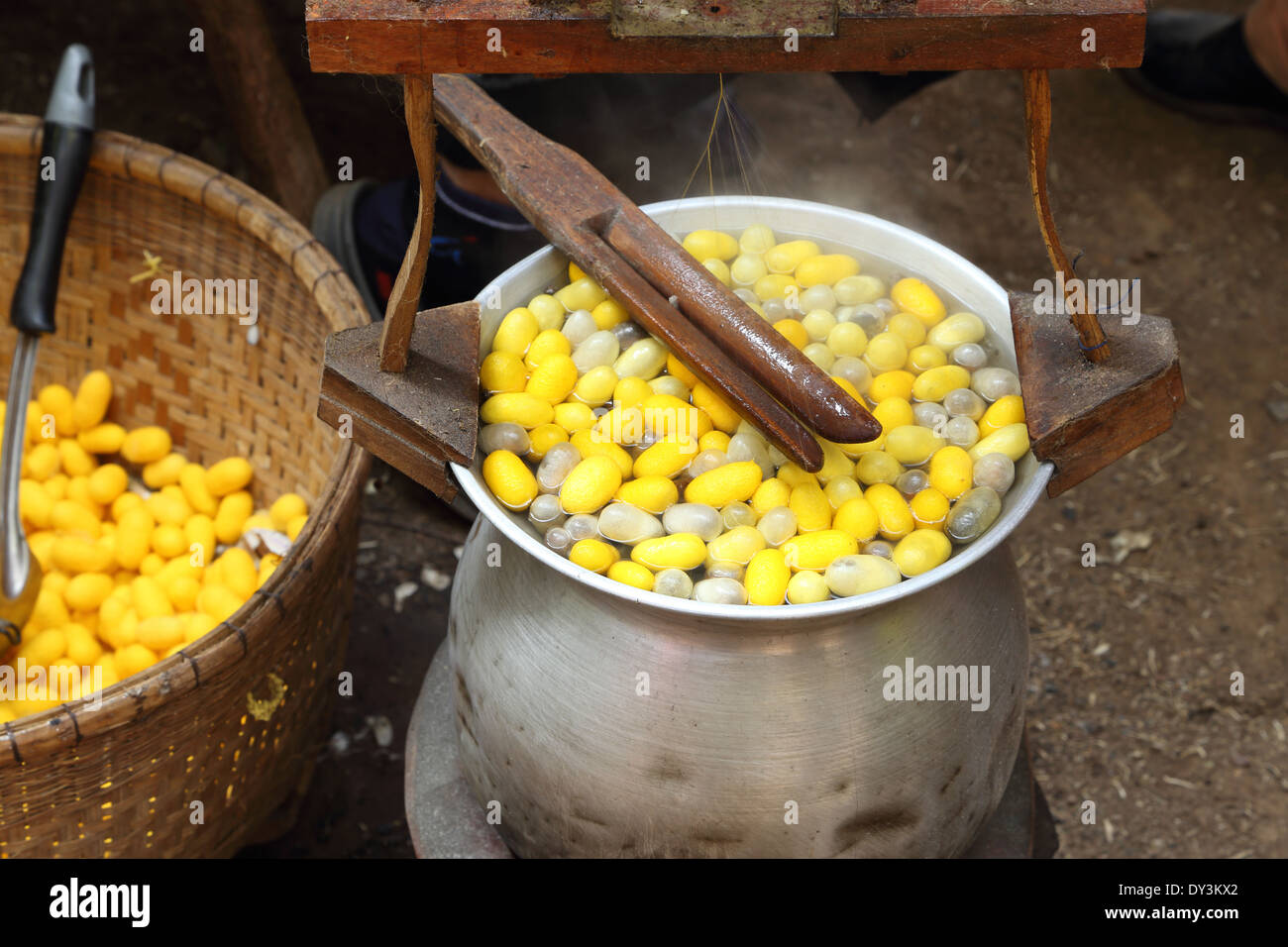 making of the cocoon silkworm (Thai style) Stock Photo