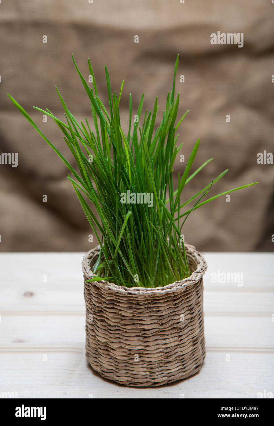 Easter basket grass hi-res stock photography and images - Alamy