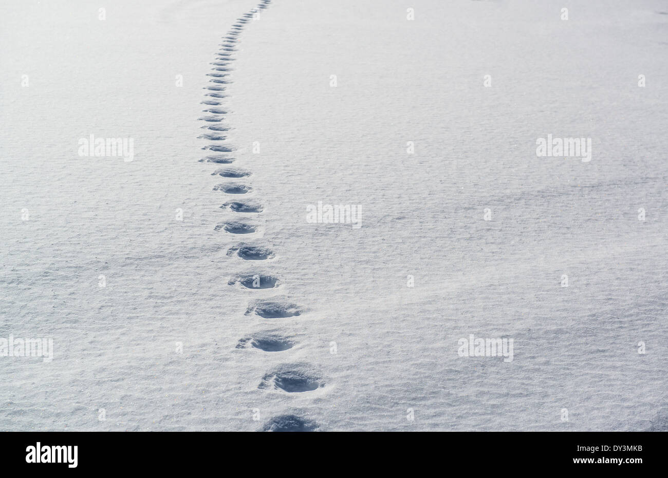 Human tracks hi-res stock photography and images - Alamy