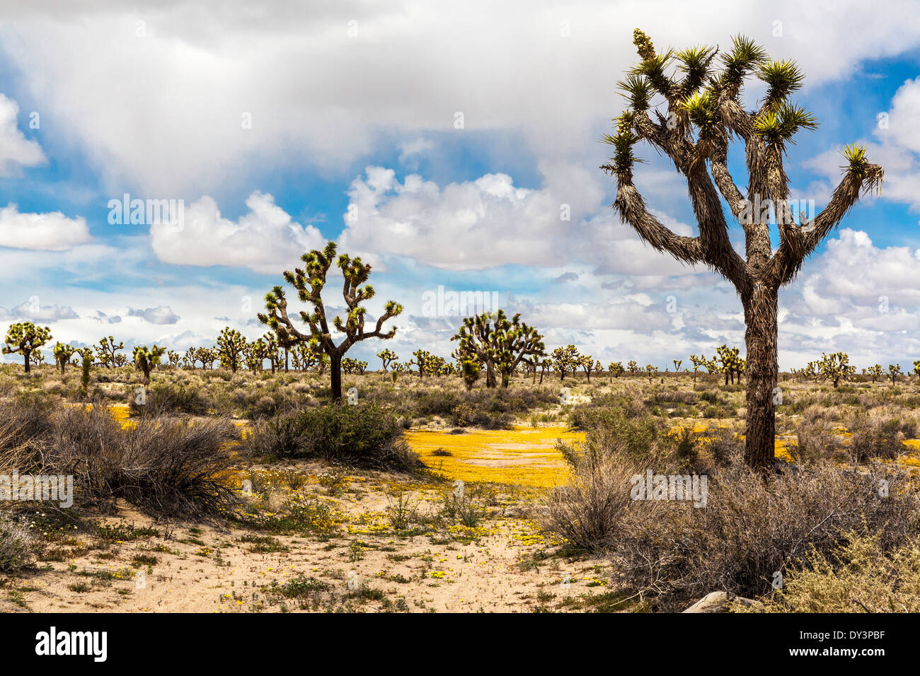 Palmdale hires stock photography and images Alamy