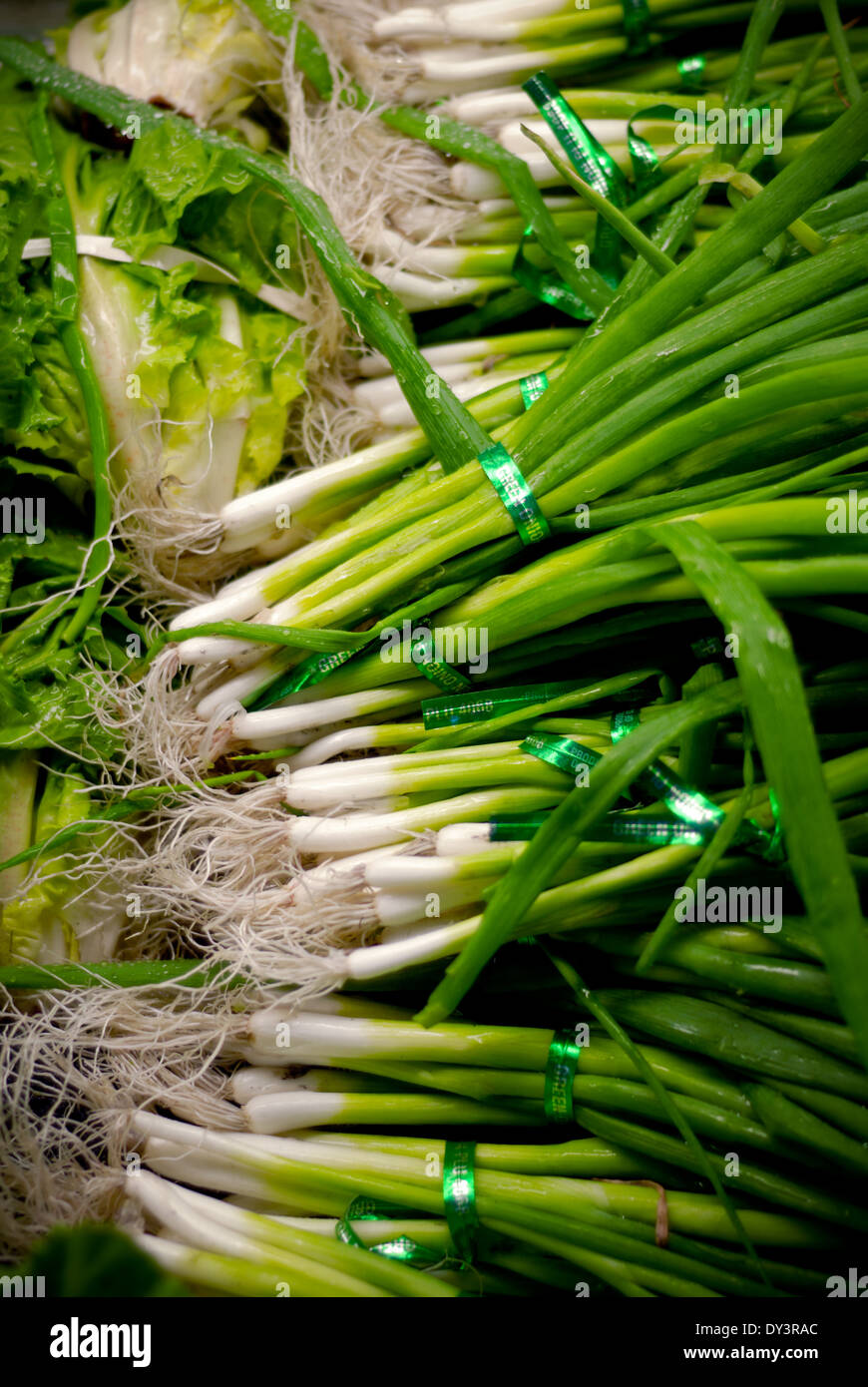 Bunches of green onions in the produce section of a grocery store Stock ...
