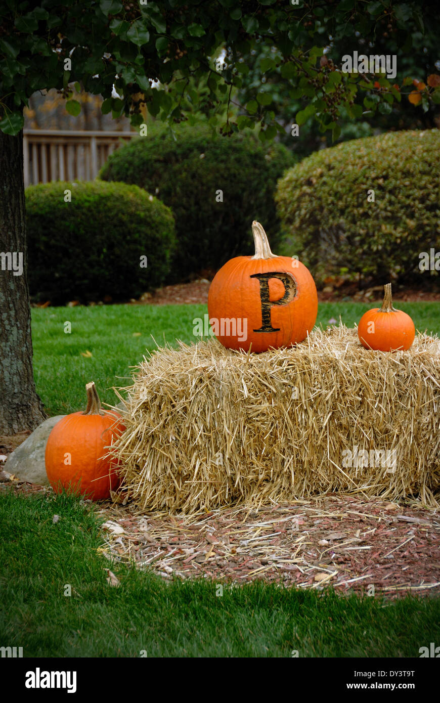 Pumpkins sit atop a bale of hay in the front yard of a home. The ...