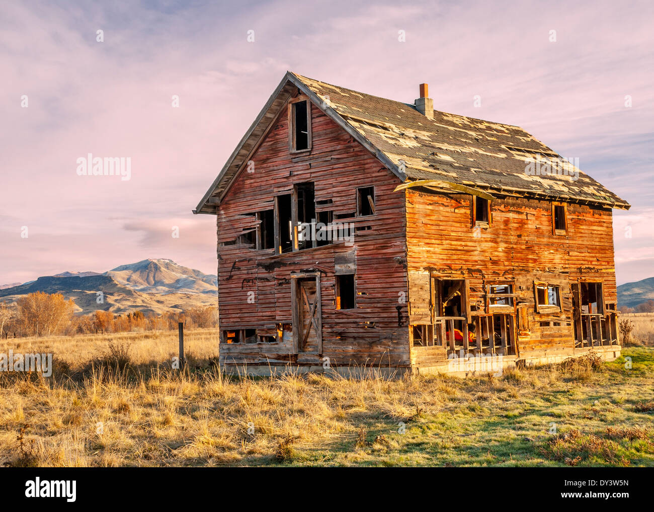 Old weathered homestead in Idaho farmland Stock Photo Alamy
