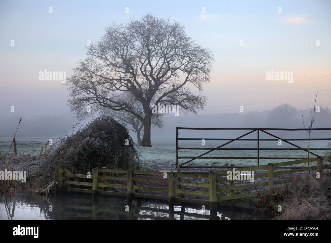A frosty January early morning on the Grand Western Canal, Burlescombe, Devon Stock Photo