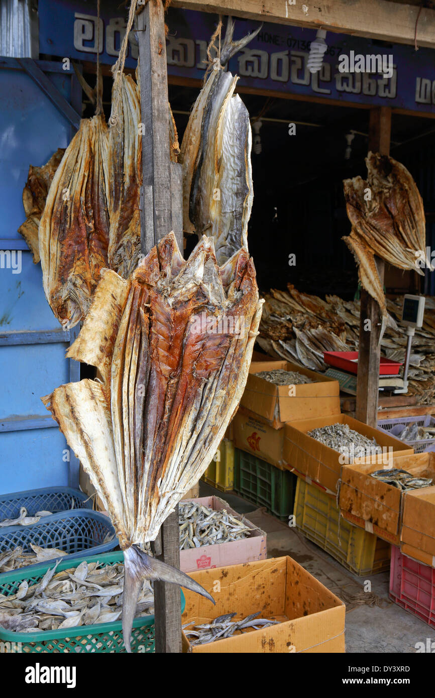 Dried fish hanging in shop Stock Photo Alamy