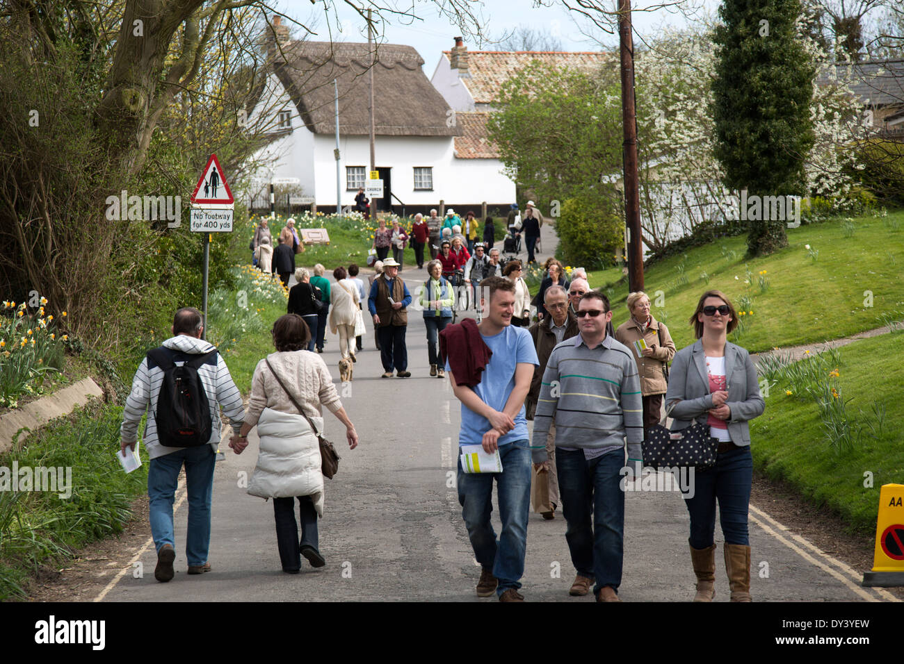 The Daffodil festival Thriplow Stock Photo Alamy