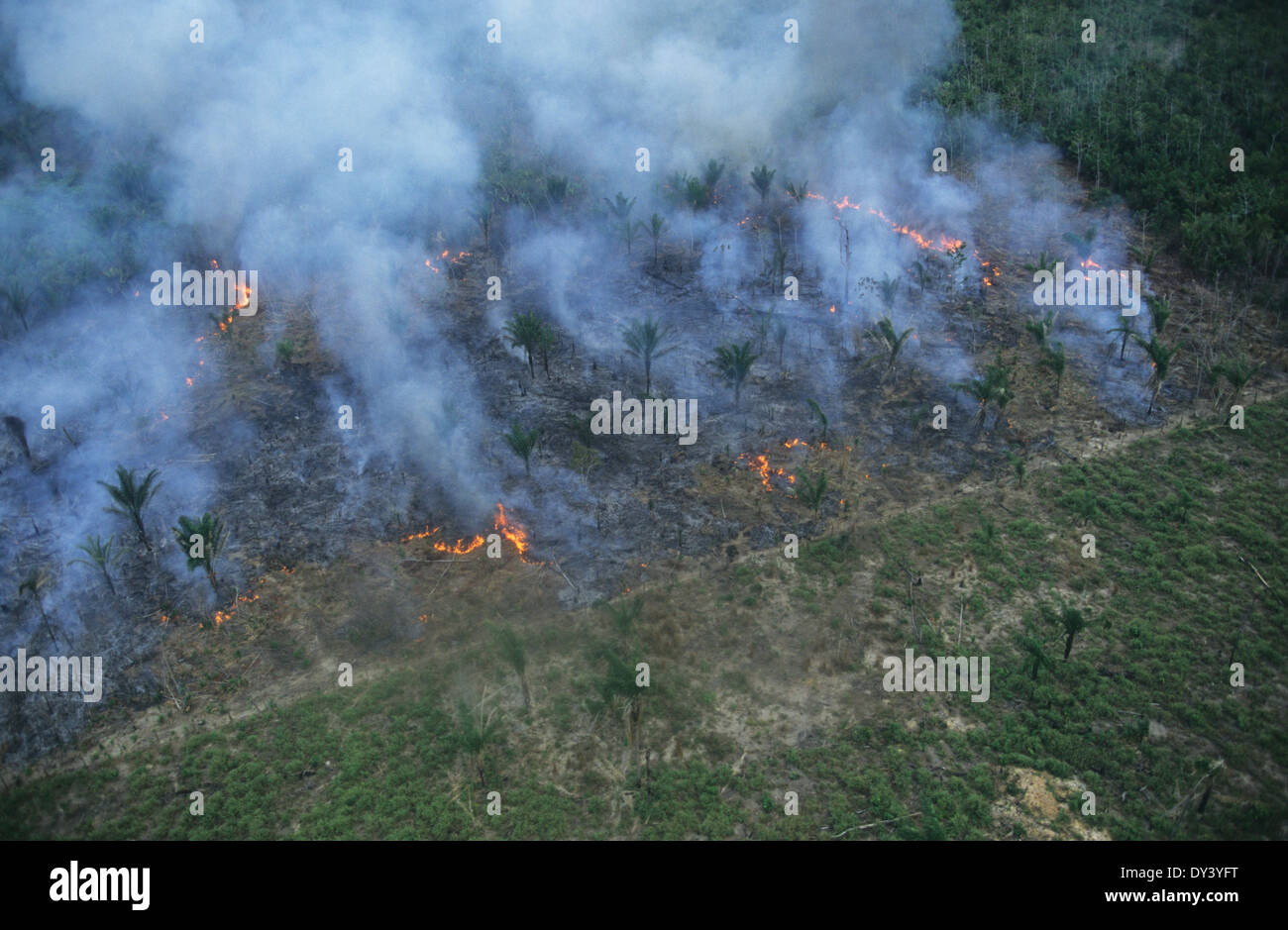 Amazon Rainforest Fire High Resolution Stock Photography And Images Alamy Amazon Rainforest Fire High Resolution Stock Photography And Images Alamy