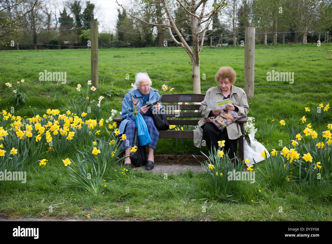Two woman sitting on a bench during the daffodil festival Thriplow Stock Photo