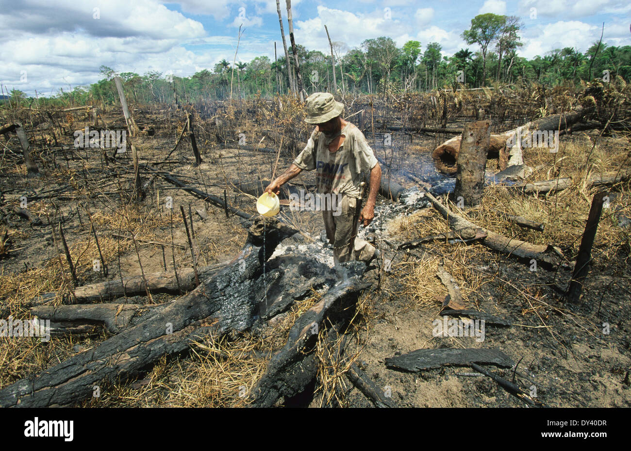 Slash And Burn Deforestation