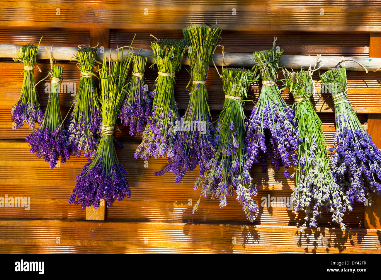 Hanging lavender hi-res stock photography and images - Alamy