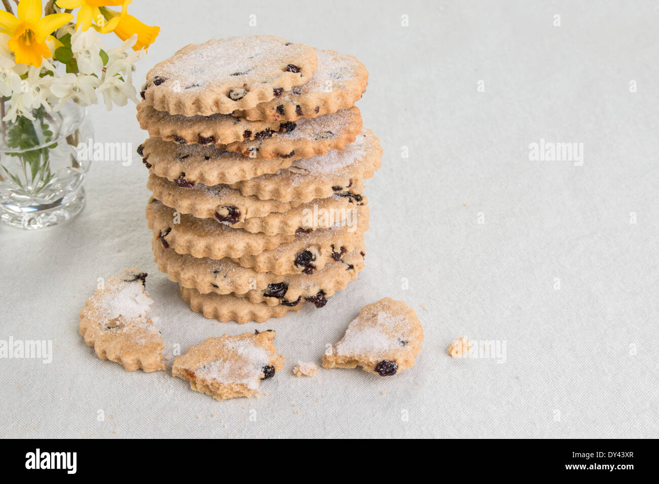 garibaldi biscuit