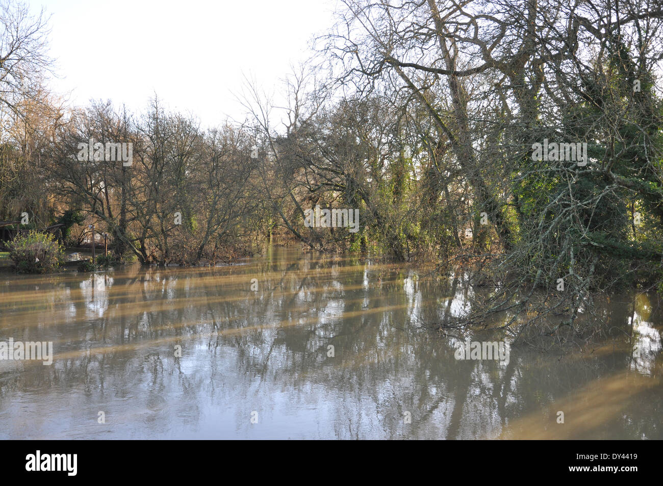 Floods in Pulborough, West Sussex, England Stock Photo