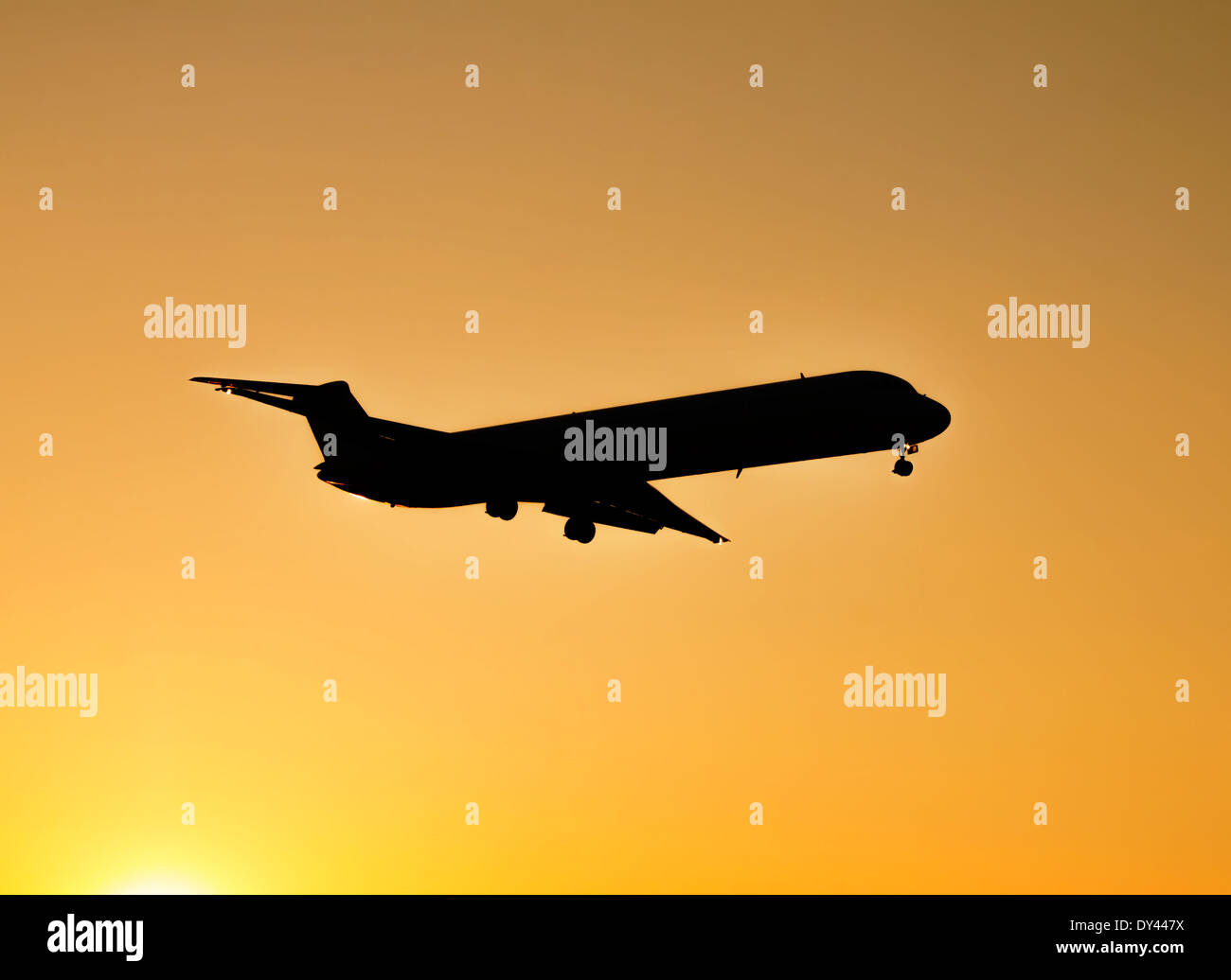 Passenger plane landing on sunset Stock Photo