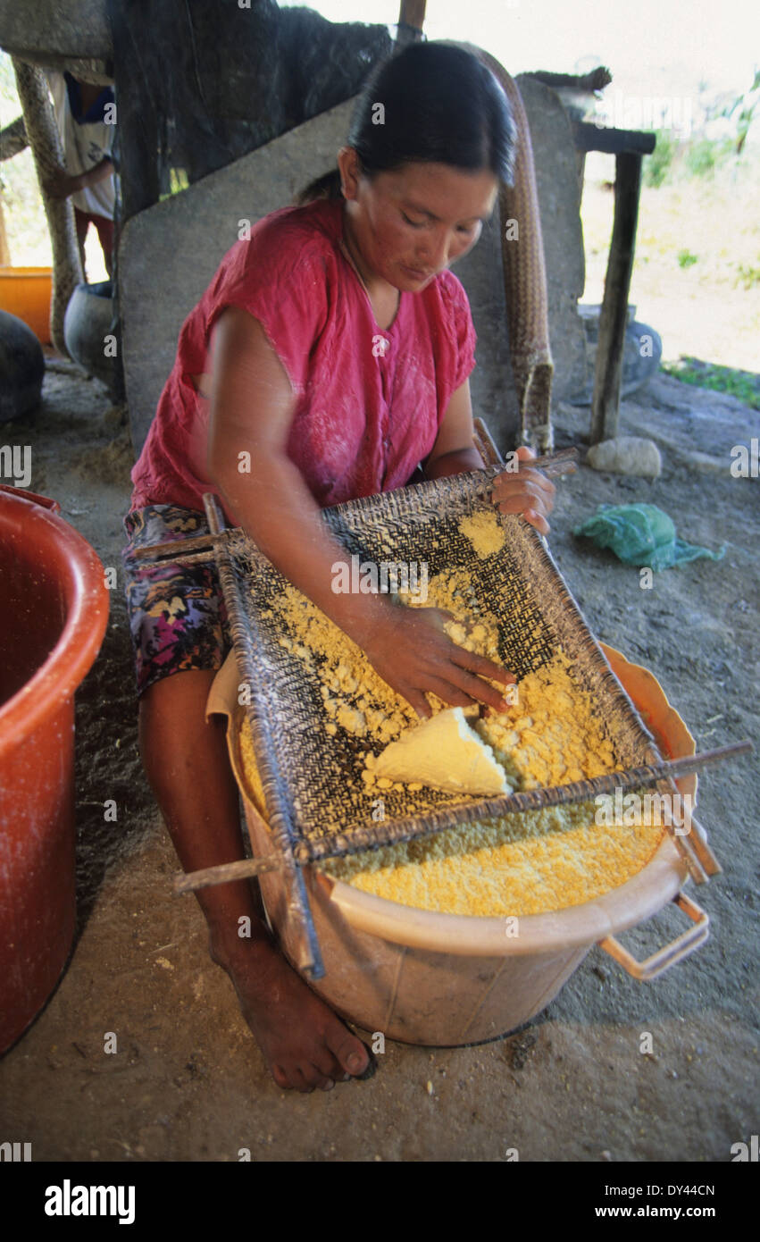 Macuxi indians preparing and cooking staple foods, cassava, maize flour. Roraima Province
