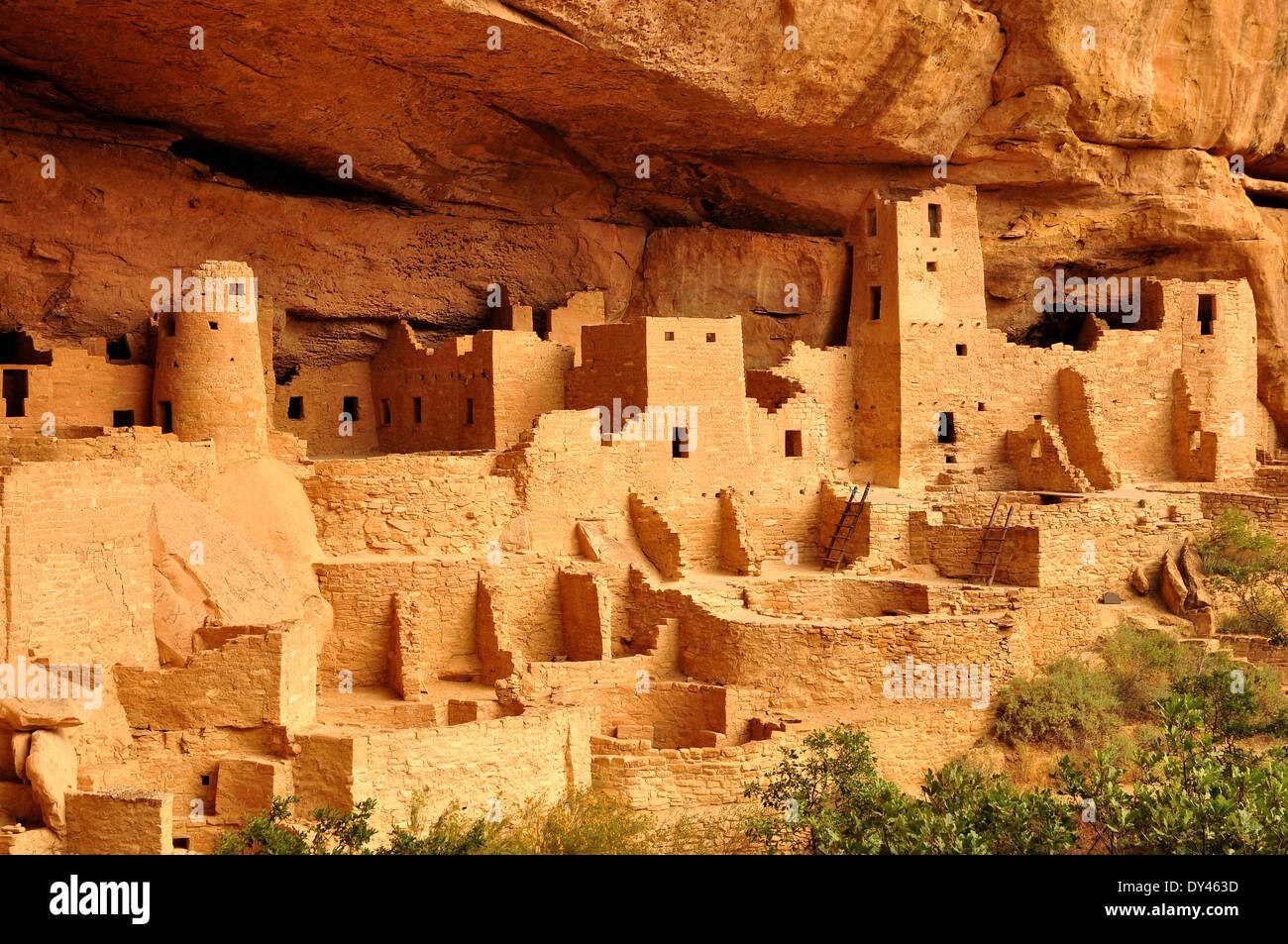 Mesa verde cliff palace ladder hi-res stock photography and images - Alamy