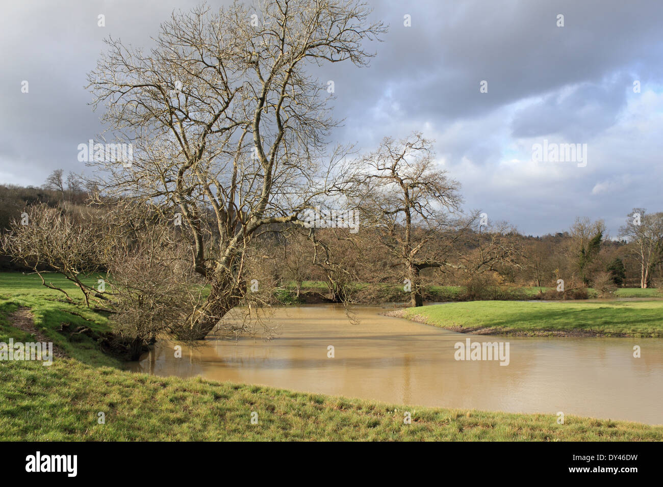 Oxbow lake on the River Mole at Westhumble near Dorking, Surrey