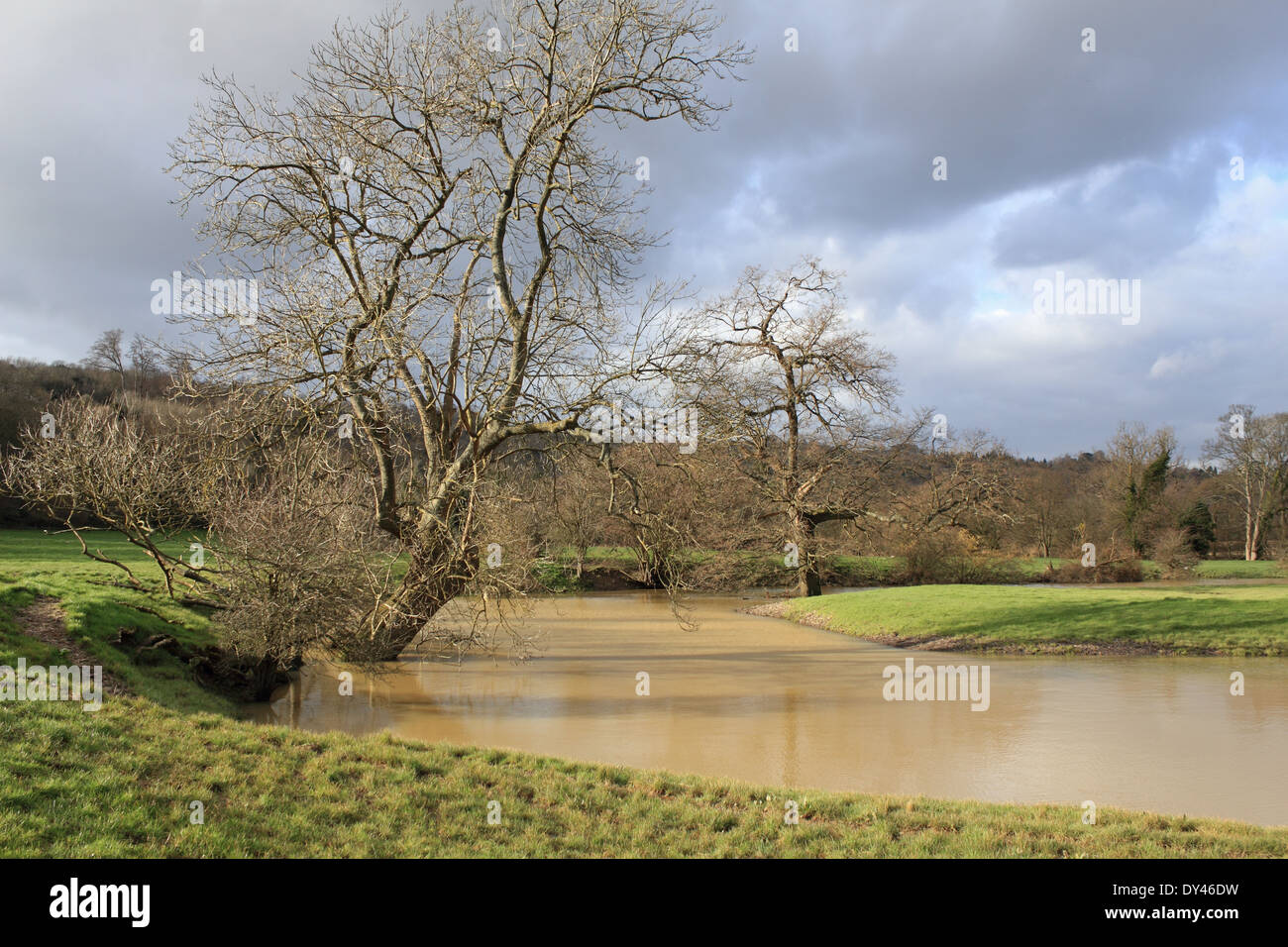 Oxbow lake on the River Mole at Westhumble near Dorking, Surrey, England, UK Stock Photo